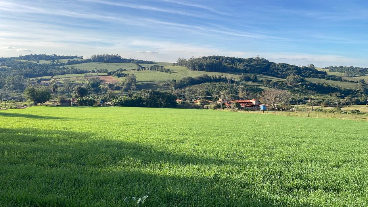 Ch�cara para Venda, em Londrina, bairro Gleba Fazenda Palhano