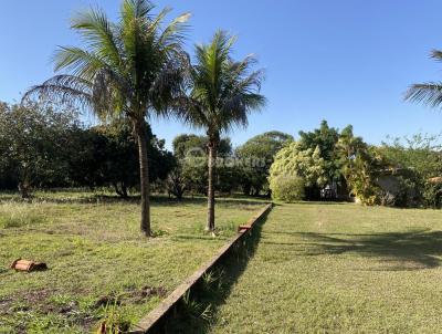 Chcara para Venda, em Londrina, bairro Warta, 3 dormitrios, 1 banheiro