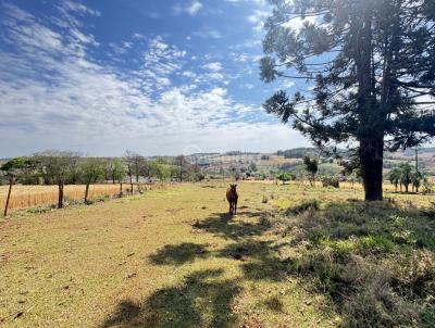 Chcara para Venda, em Londrina, bairro Patrimnio Regina, 3 dormitrios, 4 banheiros, 1 sute, 10 vagas