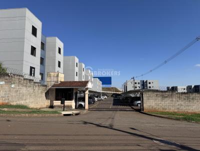 Apartamento para Venda, em Londrina, bairro S�o Pedro, 2 dormit�rios, 1 banheiro, 1 vaga